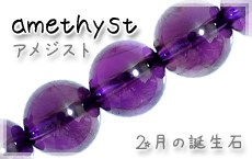 �A���W�X�g�V�R�΃r�[�Y