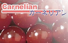 �J�[�l���A���V�R�΃r�[�Y