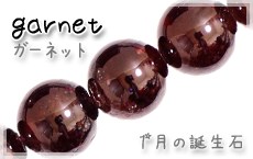�K�[�l�b�g�V�R�΃r�[�Y