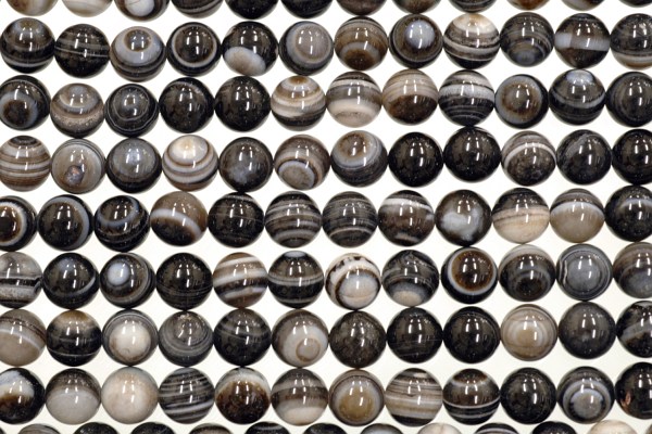 �V�R�΃r�[�Y�̓V���A�ۋ�[1]8mm