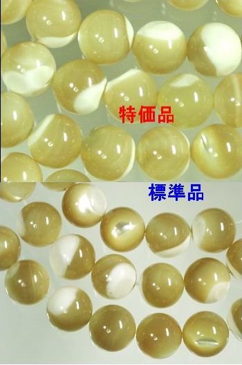 �V�R�΃r�[�Y�̓����}�U�[�I�u�p�[��B�E���ۋ�6mm