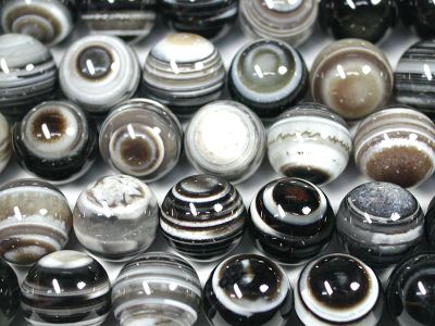 �V�R�΃r�[�Y�̓V���A�ۋ�14mm