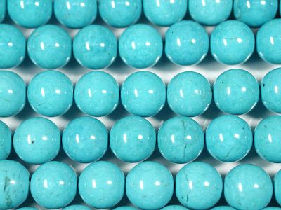 �V�R�΃r�[�Y�̃u���[�^�[�R�C�Y(����)AA�ۋ�10mm