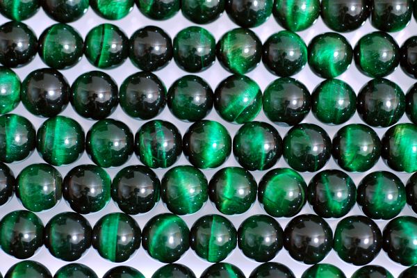 �V�R�΃r�[�Y�̃O���[���^�C�K�[�A�CA�ۋ�10mm
