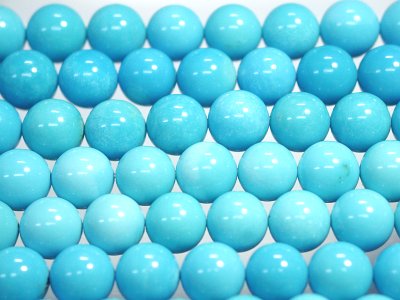 �A���]�i�^�[�R�C�Y2A�ۋ�