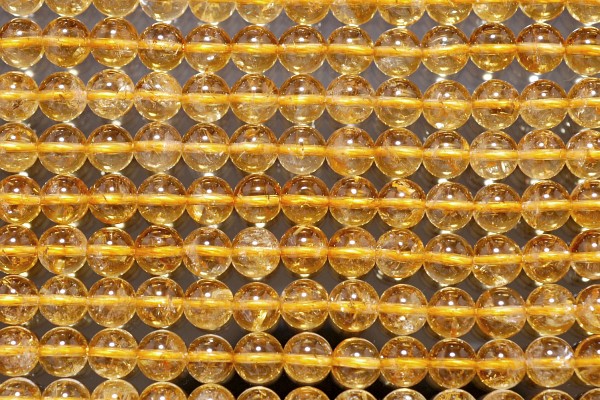 �V�R�΃r�[�Y�̓V�R�V�g����A�ۋ�8mm