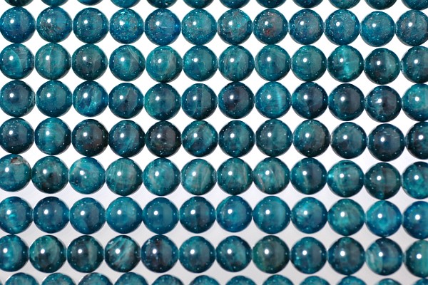 �V�R�΃r�[�Y�̃A�p�^�C�g�ۋ�[2]8mm